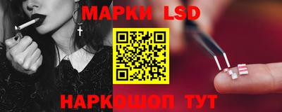тгк Камышлов