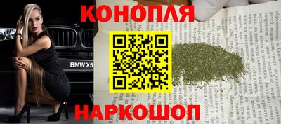тгк Камышлов