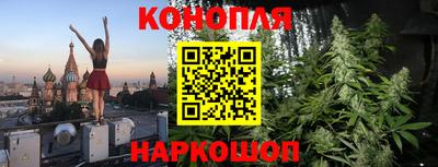 тгк Камышлов