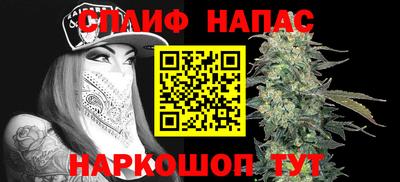 тгк Камышлов