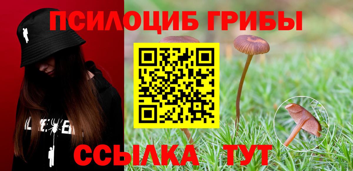 Рославль  где продают наркотики  Вход с VPN  Галлюциногенные грибы прущие грибы 