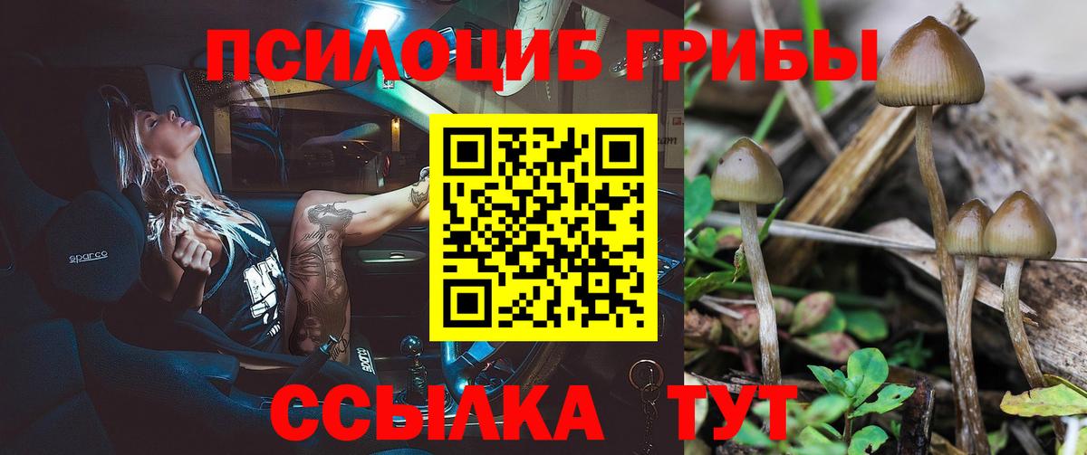 Галлюциногенные грибы мицелий Рославль