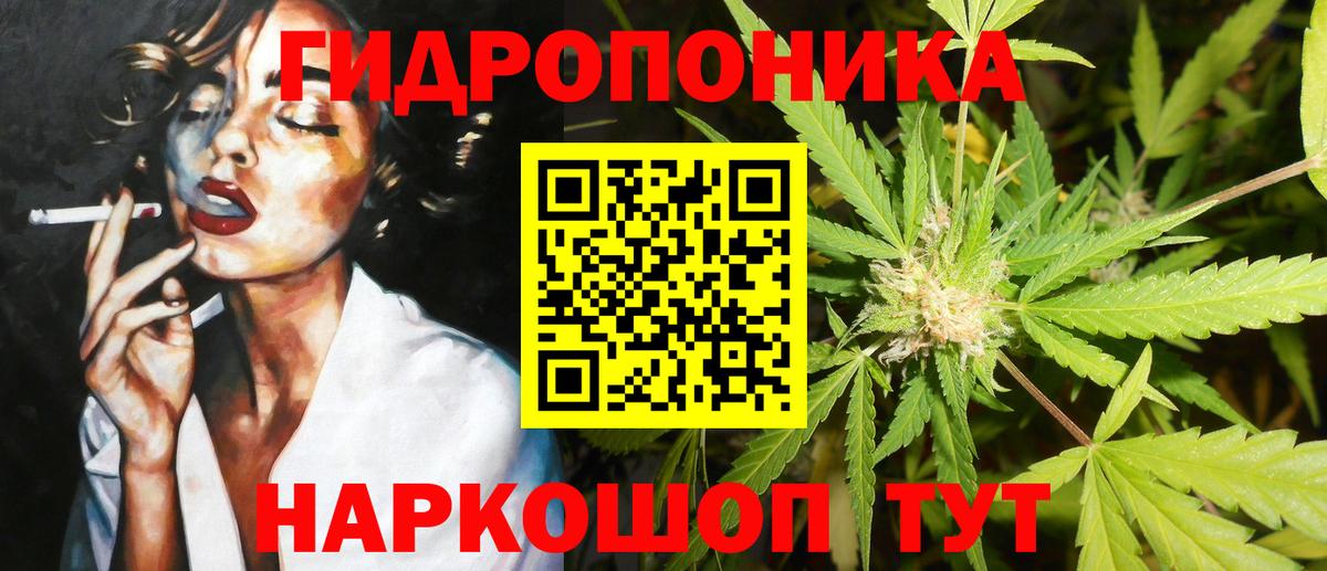 Каннабис индика Рославль